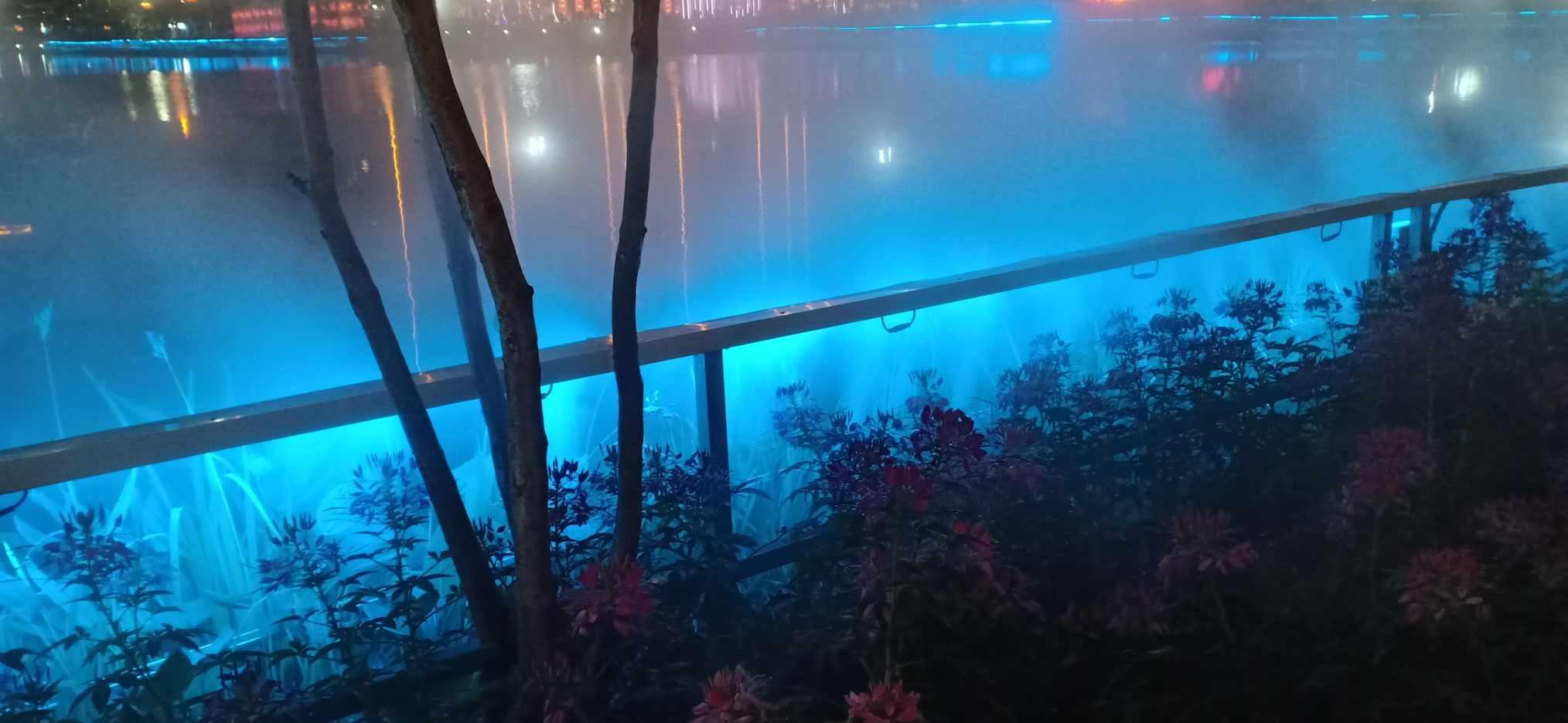 万词王